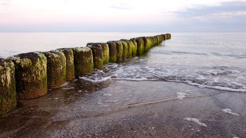Bernsteinsuche in Dziwnów an der Ostsee, Polen