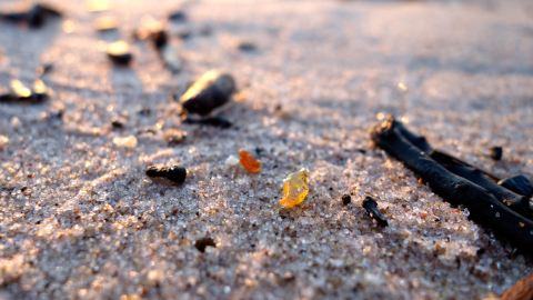 Bernstein gefunden in Dziwnów an der Ostsee, Polen