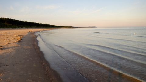 Bernstein finden in Dziwnów an der Ostsee, Polen