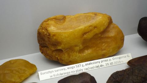 Bernstein 527 Gramm groß, gefunden von Grzegorz G. auf dem Weststrand von Kołobrzeg (Kolberg)