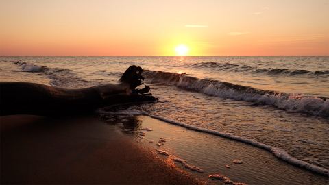 Bernstein suchen an der Ostsee, Polen