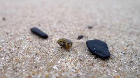 Bernstein gefunden in Międzyzdroje an der Ostsee, Polen