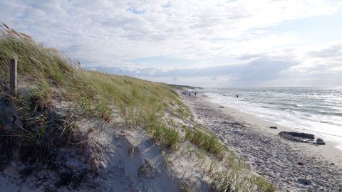 Bernstein finden in Prerow bei Ribnitz-Damgarten