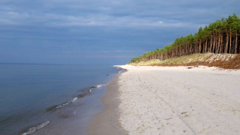Bernstein finden in Rewal an der Ostsee