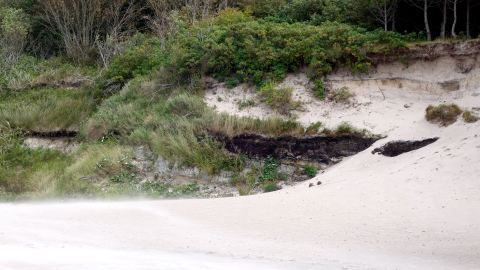 Braunkohle am Strand von Rewal an der Ostsee