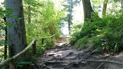 Jastrzębia Góra Weg zum Leuchtturm