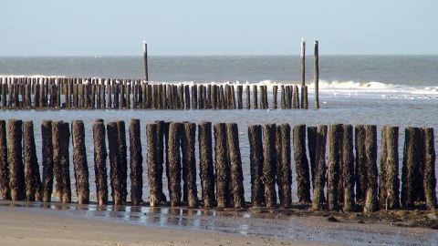 Bernstein finden in Zoutelande
