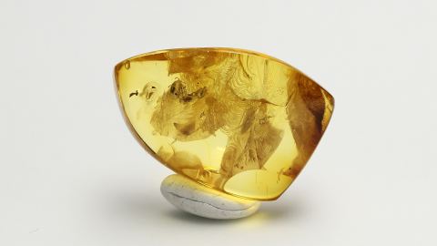 Ameise, teils verlumt, als Einschluss im Bernstein