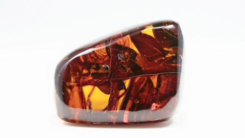 Inklusen im Mexikanischen Bernstein