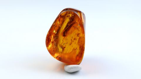 Bernstein Einschluss