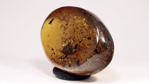 Einschlüsse im Burma Bernstein