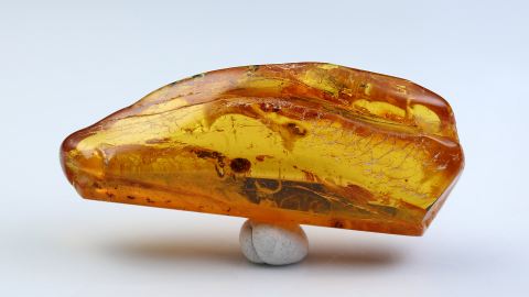 Baltischer Bernstein