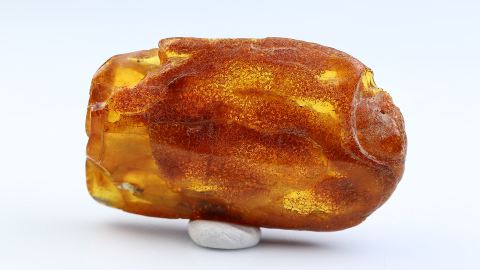 Spinnen als Einschlüsse im Baltischen Bernstein