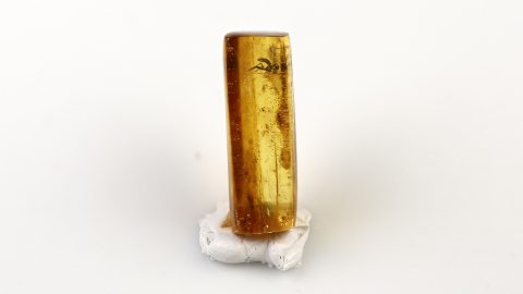 Bernstein mit einer Mücke als Inkluse