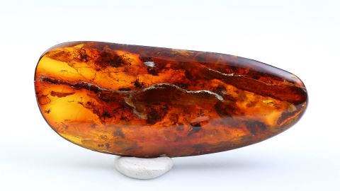 Einschlüsse im Baltischen Bernstein