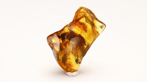 Bernstein mit Spinne und Spinnennetz