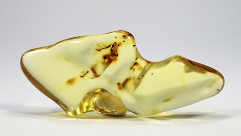 Baltischer Butterscotch-Bernstein