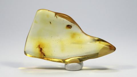 Baltischer Butterscotch-Bernstein mit Inklusen