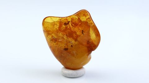 Zwei Ameisen als Inklusen