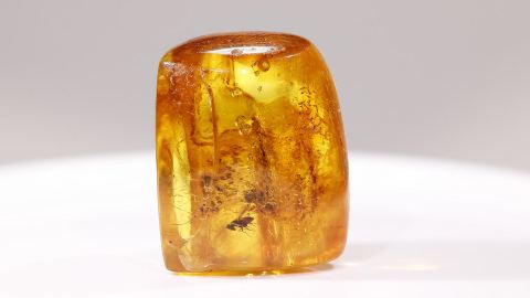 Bernstein Einschluss