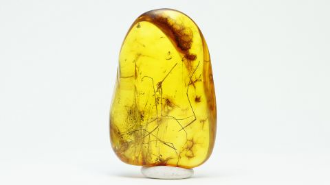 Bernstein Einschluss