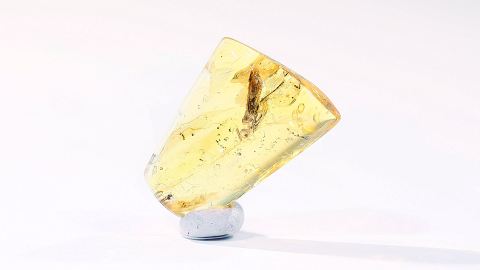 Bernstein Einschluss