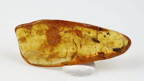 Bernstein mit Einschlüssen