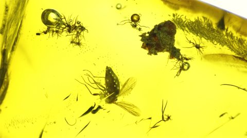 Bernstein mit mehreren Einschlüssen