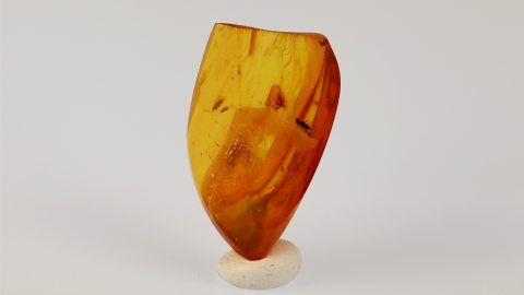 Fliege und Mücke als Einschlüsse