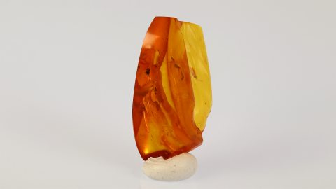 Zuckmücke als Inkluse im Bernstein