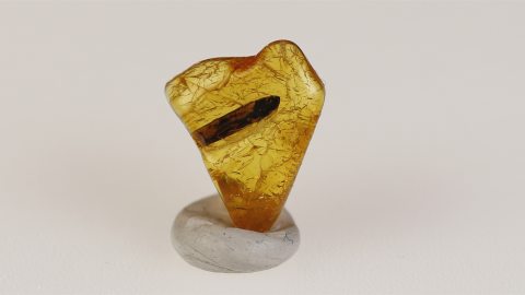 Blatt im Baltischen Bernstein