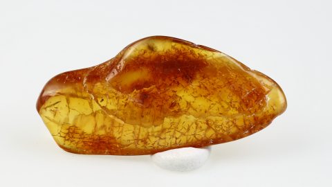 Spinne und zwei Mücken als Inklusen