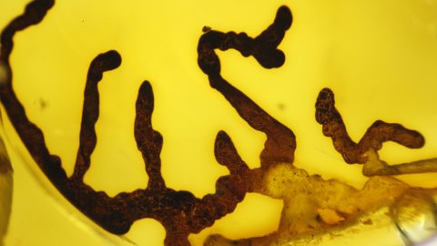 Außergewöhnliche Formen, Luftblasen als Einschlüsse