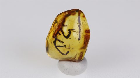 Außergewöhnliche Einschlüsse