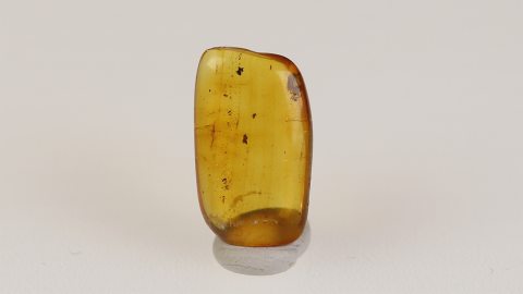 Kleine Spinne als Inkluse