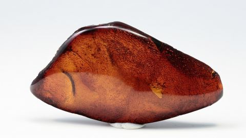 Mexikanischer Bernstein