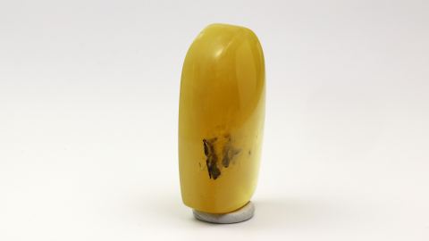 Naturbernstein geschliffen und poliert