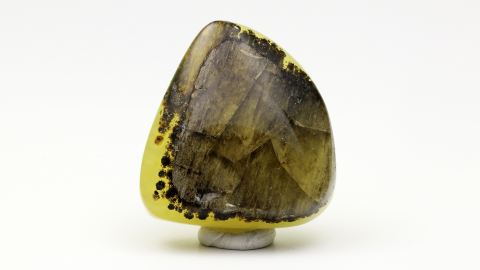 Holz im Bernstein