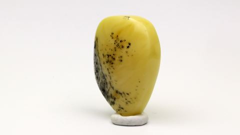 Naturbernstein geschliffen und poliert