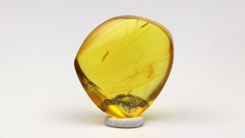 Baltischer Bernstein von Hand poliert