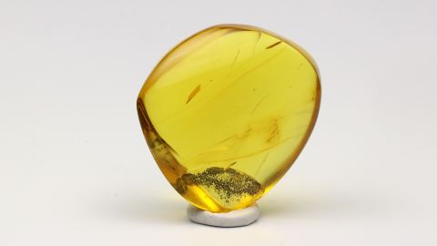 Bernstein geschliffen und von Hand poliert