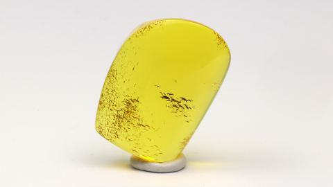 Baltischer Bernstein von Hand poliert