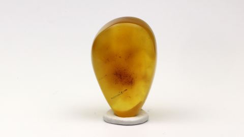 Baltischer Bernstein von Hand poliert