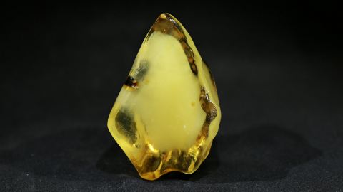 Baltischer Bernstein geschliffen und poliert