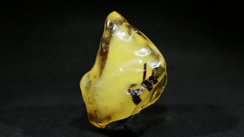 Baltischer Bernstein