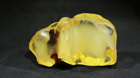 Baltischer Bernstein