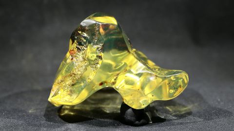 Honiggelber Bernstein