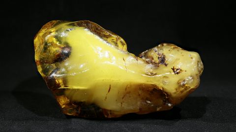 Baltischer Bernstein