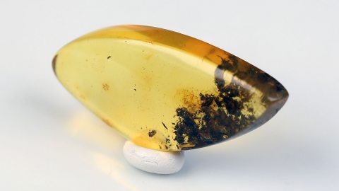 Baltischer Bernstein von Hand geschliffen und poliert