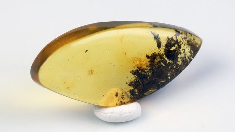 Bernstein geschliffen